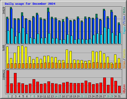Daily usage for December 2024