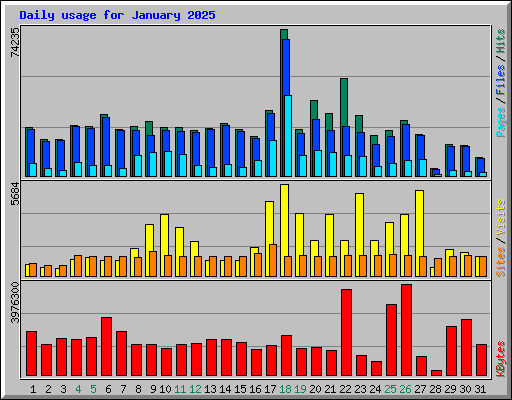 Daily usage for January 2025