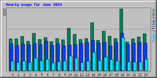Hourly usage for June 2024
