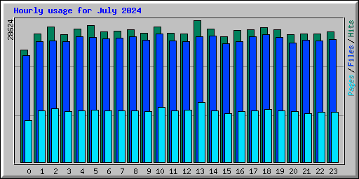 Hourly usage for July 2024