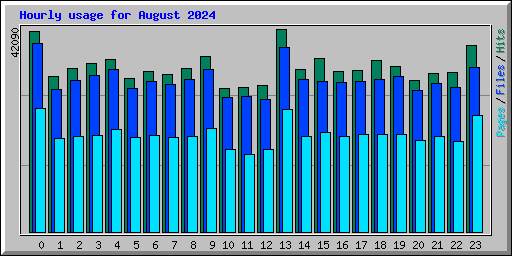 Hourly usage for August 2024