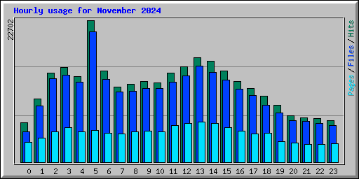 Hourly usage for November 2024