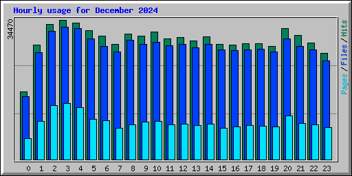 Hourly usage for December 2024