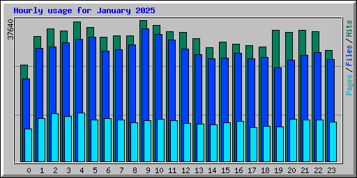 Hourly usage for January 2025