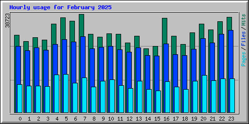 Hourly usage for February 2025