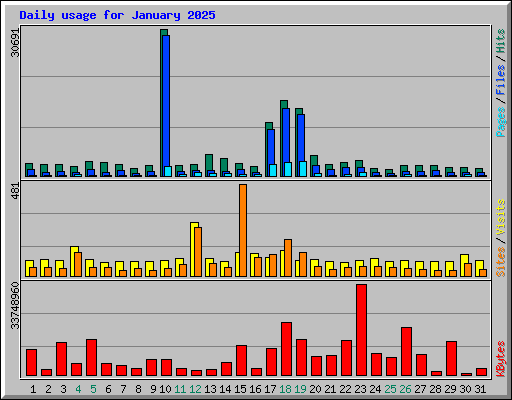 Daily usage for January 2025