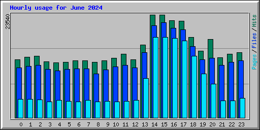 Hourly usage for June 2024