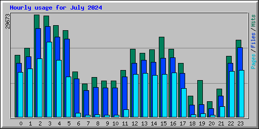 Hourly usage for July 2024