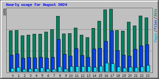 Hourly usage for August 2024