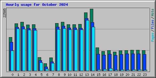 Hourly usage for October 2024