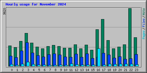 Hourly usage for November 2024
