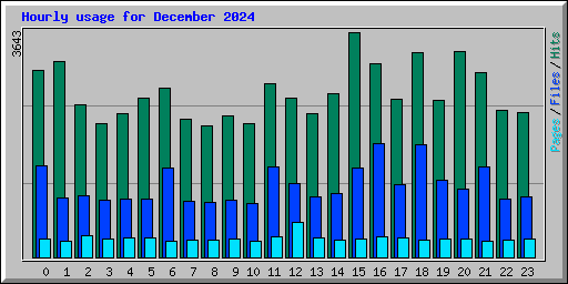 Hourly usage for December 2024