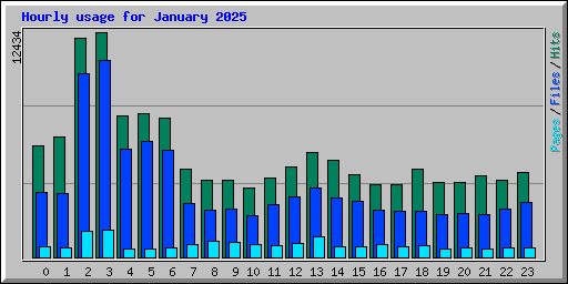 Hourly usage for January 2025