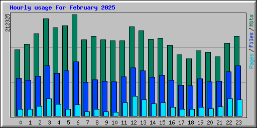 Hourly usage for February 2025