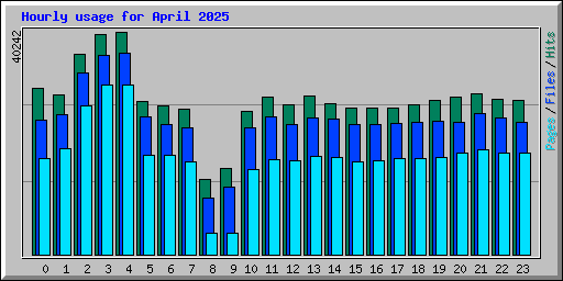 Hourly usage for April 2025
