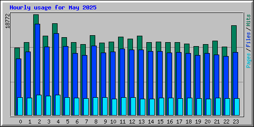Hourly usage for May 2025