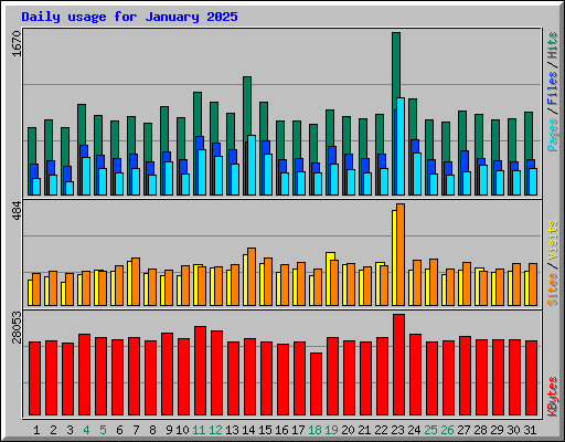 Daily usage for January 2025