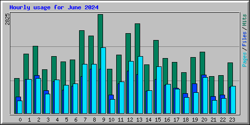 Hourly usage for June 2024