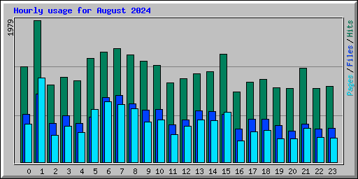 Hourly usage for August 2024