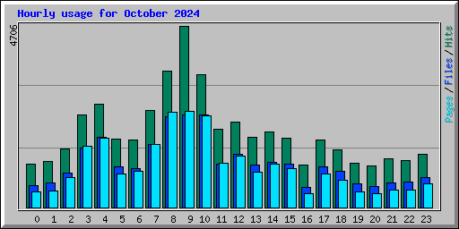 Hourly usage for October 2024