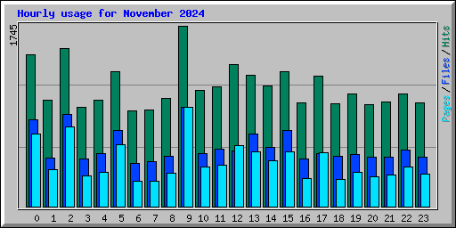 Hourly usage for November 2024