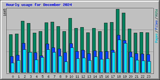 Hourly usage for December 2024