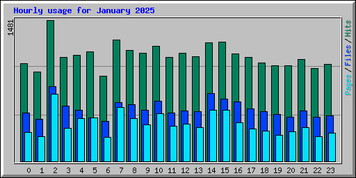 Hourly usage for January 2025