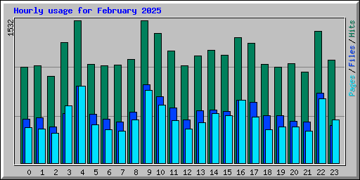 Hourly usage for February 2025